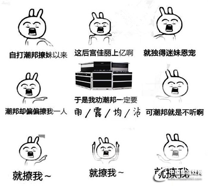 我勸皇上要雨露均沾~但皇上偏不聽(tīng)，就寵潮邦集成灶！