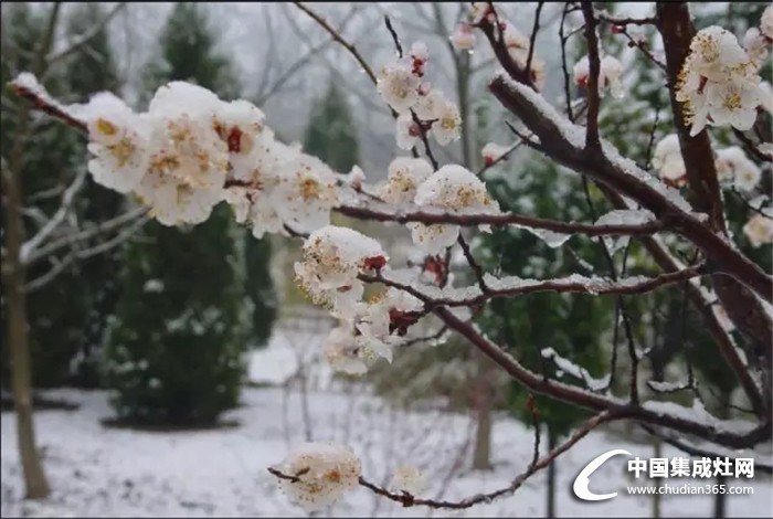 倒春寒來了，火星一號教你如何應(yīng)對！