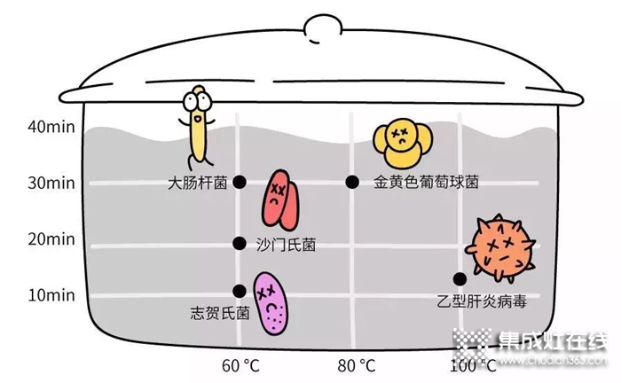 細菌無處隱藏，邦的給全家安心守護