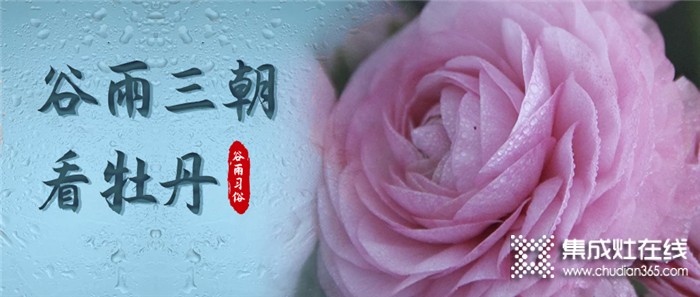 莫尼集成灶：今日谷雨，萬物生長宜播種，宜吃春！