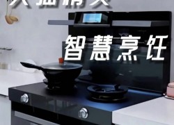 佳歌智能新品A7ZK集成灶——智享烹飪，讓生活更美味！ (1010播放)