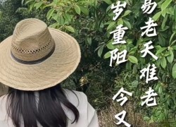 【重陽節(jié)桂花糕】“桂花雨”落在松軟的米糕上，連著桂花蜜的甜味融化在舌尖上，這份獨(dú)屬于秋天的歡迎儀式，連帶著重陽節(jié)的獻(xiàn)禮一起和大家分享！